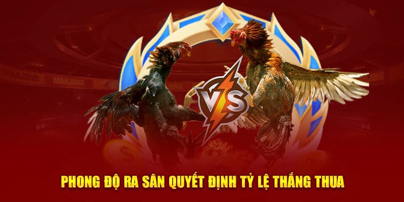 Các hình thức cược phổ biến trong đá gà J88