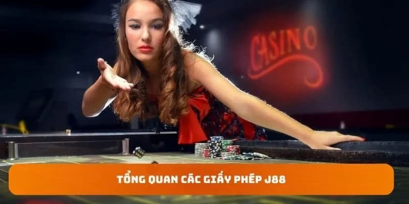 Cách người chơi kiểm tra giấy phép hoạt động