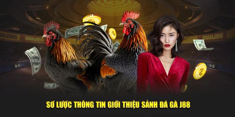 Tổng quan về đá gà J88